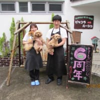 １３周年
