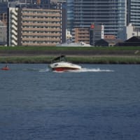 暑い日はコレだね