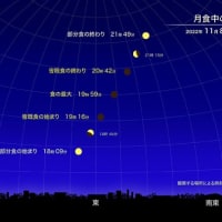 １１月８日の満月はビーバームーン