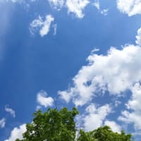 ハイジになって