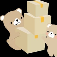 リムパーザ服用305日目　ブログお引っ越しです🚛