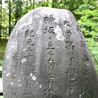 木曽路を走る