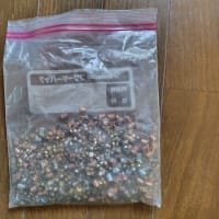 使用済み雷管