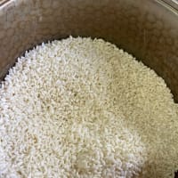 おからでお味噌を作ってみました。