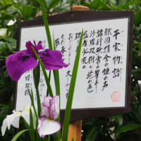 明月院～江ノ島
