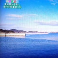 山陰　萩の海浜