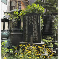 【イベント・ウォーキング】“べらぼう”大河ドラマ館と蔦屋重三郎ゆかりの地を訪ね歩いてみた。