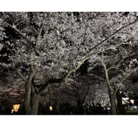 今日いち-2025年4月19日