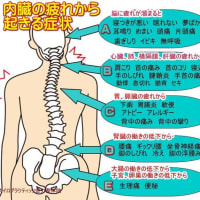 ボキボキしない痛くない整体とカイロプラクティックをしています 小顔矯正と骨盤矯正と腰痛や肩こり 頭痛 不眠 めまいなどに北九州市 小倉北区 小倉南区 八幡東区 八幡西 戸畑 門司 ボキボキしない痛くない整体とカイロプラクティックをしています 小顔矯正と骨盤矯正と腰痛や肩こり 頭痛 不眠 めまいなどに北九州市 小倉北区 小倉南区 八幡東区 八幡西 戸畑 門司