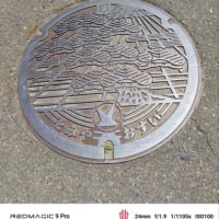 宮城県富谷市（とみやど付近）の蓋