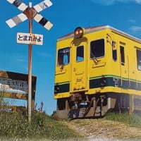房総半島南部、夷隅米穀倉地帯を走る「いすみ鉄道」！「ムーミン列車」地方ローカル線再生の優等生がなぜ？脱線事故車両は放置。いまだに全線運休、、2025年2月16日(日)2月18日(火)報道より、、