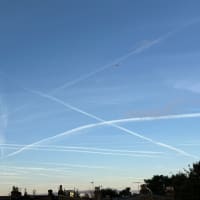 心相科学理論の根底にある考え方