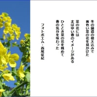 春の気分