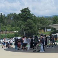 恐竜博物館25周年「獣脚類2025展」行ってきました。