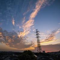 6月19日(木) 日の出を期待して暗闇散歩！！