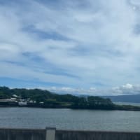 コン爺　沼津海鮮市場🐟❣️
