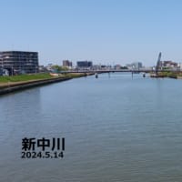 新中川 (5月14日) ポイント移動釣行！