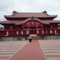 お一人様の旅終了(#^.^#)