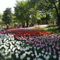 国営アルプスあずみの公園（堀金・穂高地区）