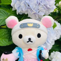 紫陽花。