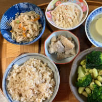 食べた物