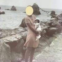 次からは御福餅か