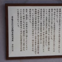 三重県伊賀市、馬田「薬師寺跡のムクロジ」（市指定）です！！