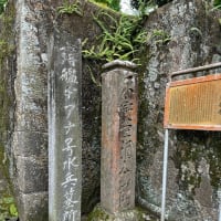 西伊豆へ　9　玉泉寺他