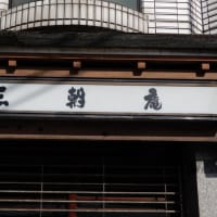 山積するドイツ軍の問題 Eu軍の中核として期待されていはいるが