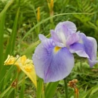 よみがえる地球