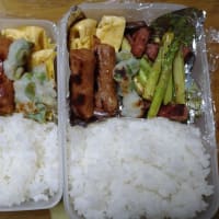 我が家のお弁当🍱(∩´∀｀)∩ﾜｰｲ　2025/07/12とその前