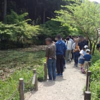 豆柴日記 ｇｗキャンプ 板取川温泉オートキャンプ場 くまお日記