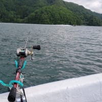 野尻湖のヒメマス釣り（７回目）