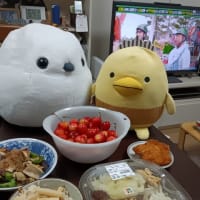 スイカヘルメットなら持って帰れない冷しうどん…