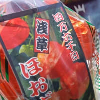 ほおずき