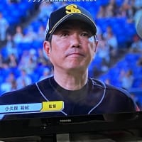 我が鷹、まずは、おめでとう（20240916）