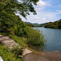 新緑の大台町