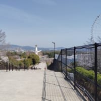 長い階段を息子と登って見た
