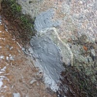 水路の補修