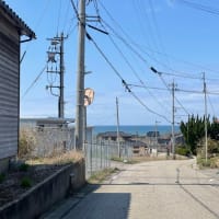 まいぺーす。