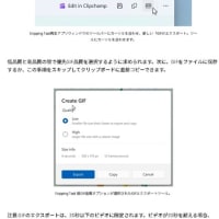 Windows 11 Canary チャンネルに Snipping Tool バージョン 11.2505.21.0 が降りてきました。
