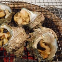 琥珀通信。。お楽しみの秋