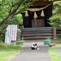 こらぁ、神前だぞぅ