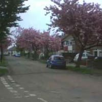 イギリスの４月　その２