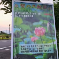 朝の散歩　平池緑地公園　56　6.26～28