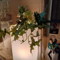 ネットフリマをはじめてみました　㈡
