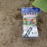 雨前に短時間作業終わらせました