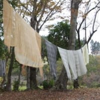 草木染めいろいろ【空想の森の草木染め＜110＞】