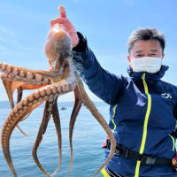 5月2日(月)の釣果情報