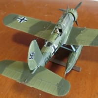 Arad Ar-196A2　1/72　Sword